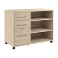 thumbnail image 1 of Pemberly Row Rolling Natural Elm Storage Cabinet With Locking Drawers & Shelves, 1 of 10