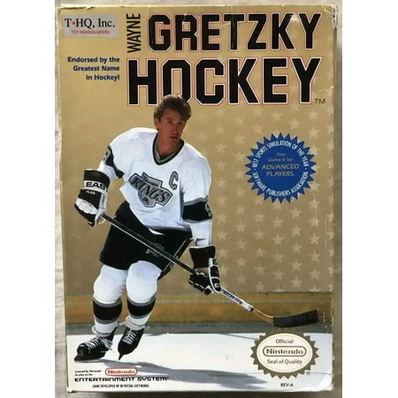Wayne Gretzky hockey Nintendo NES 1990 video game w/ box cartridge booklet