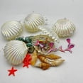 thumbnail image 5 of 10pcs Sea Shell Party Favors – Ocean-Themed Jewelry Boxes for Birthday, Beach & Under the Sea Parties – Lightweight Durable Plastic Treat Containers for Kids, Teachers, Event Planners, 5 of 7