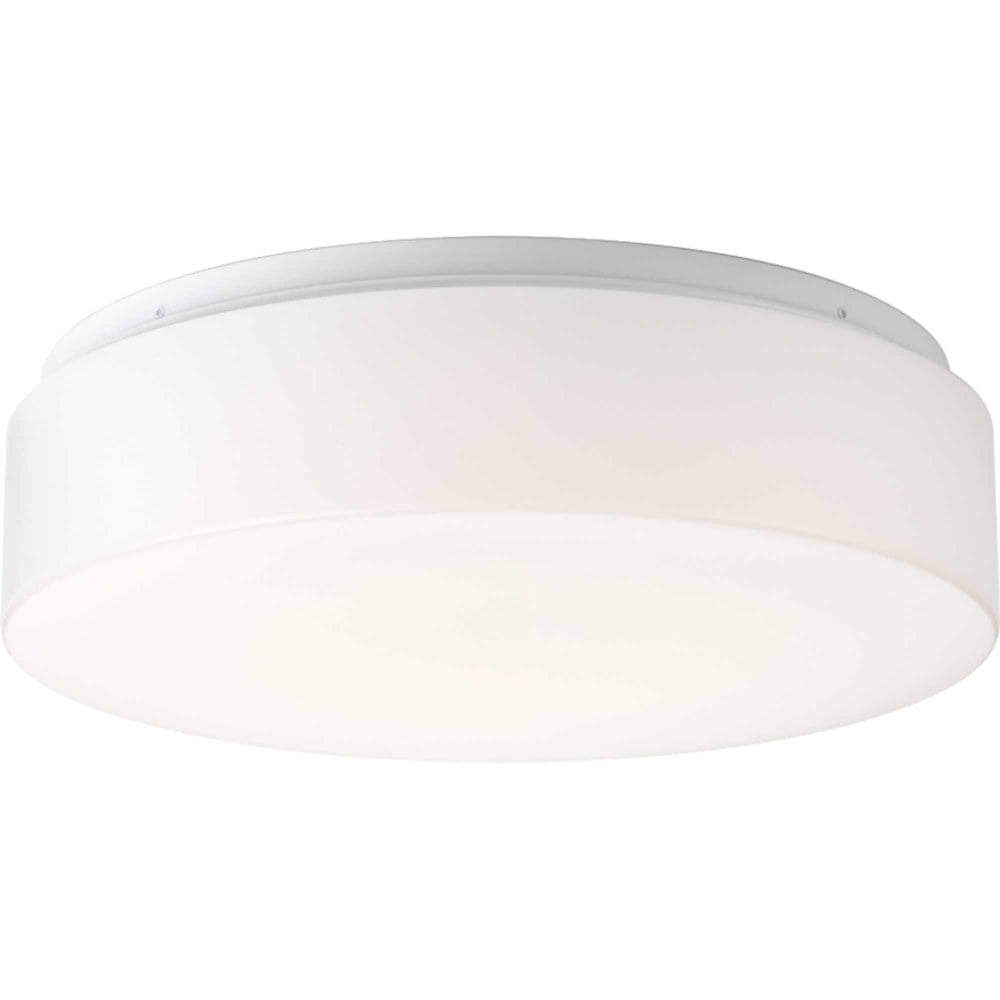One-Light 13-1/2" LED Flush Mount