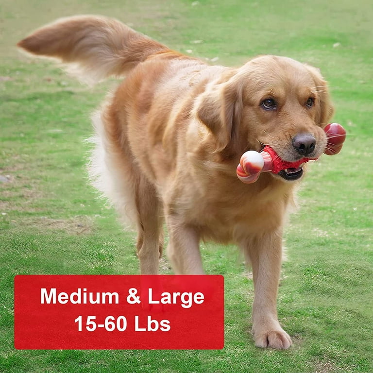 Large Dog Toys for Aggressive Chewers,Dog Toys for Large Dogs,Rubber Tough  Dog Bone Chew Toys,Toothbrush Dog Toys for Aggressive Chewers Large  Breed,Interactive Dog Puzzle Toys,Puppy Chew Toys 