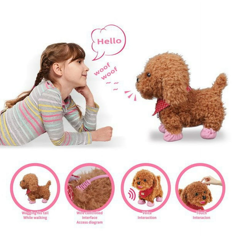 Interactive top walking dog