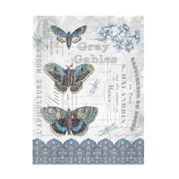 Canvas Wall Art - Jean Plout 'Vintage Moth Collage' Wall Art for Living Room, Bedroom, or Office Décor by Trademark Fine Art - 14 x 19 Inches