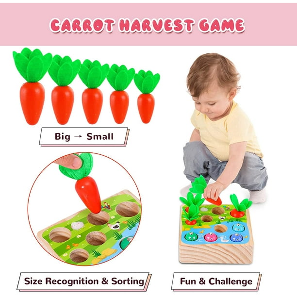 Toddler Wooden Montessori Toys for 1 2 3 4 5 Year Old Sensory Learning Toys  for Toddlers 1-3 Fishing Games Carrot Harvest Color Matching Preschool
