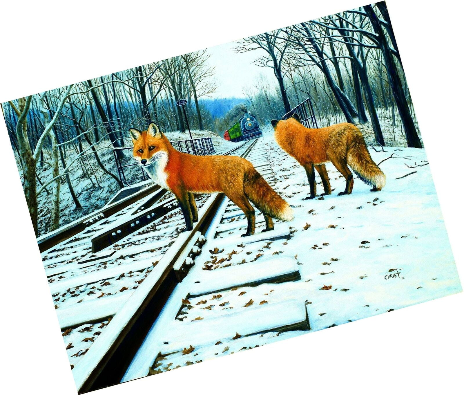 SunsOut Fox Tracks