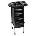 thumbnail image 2 of Lanzxjv Hair Salon Storage Tool Cart, 6-Layer Hair Salon Trolley with 4 Wheels, Barber Storage Cart for Hairdressing Beauty SPA Tattoo, 2 of 6