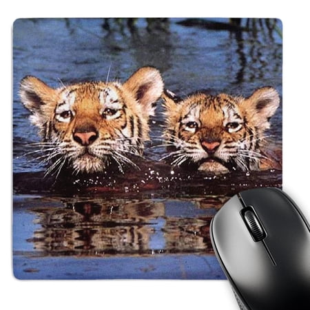 3dRose  Tiger Cubs  MousePad price history on PriceWatchPro
