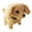 Brown#C, variant on Interactive Robot Dog Toy with Realistic Barking Sounds and Walking Movements, RC Robotic Puppy Pet for Kids, Electronic Companion for Bedroom Decor, Birthday Gift