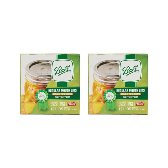 Tapas para tarros de vidrio tipo masón con boca regular tipo bola (24 unidades) plateadas