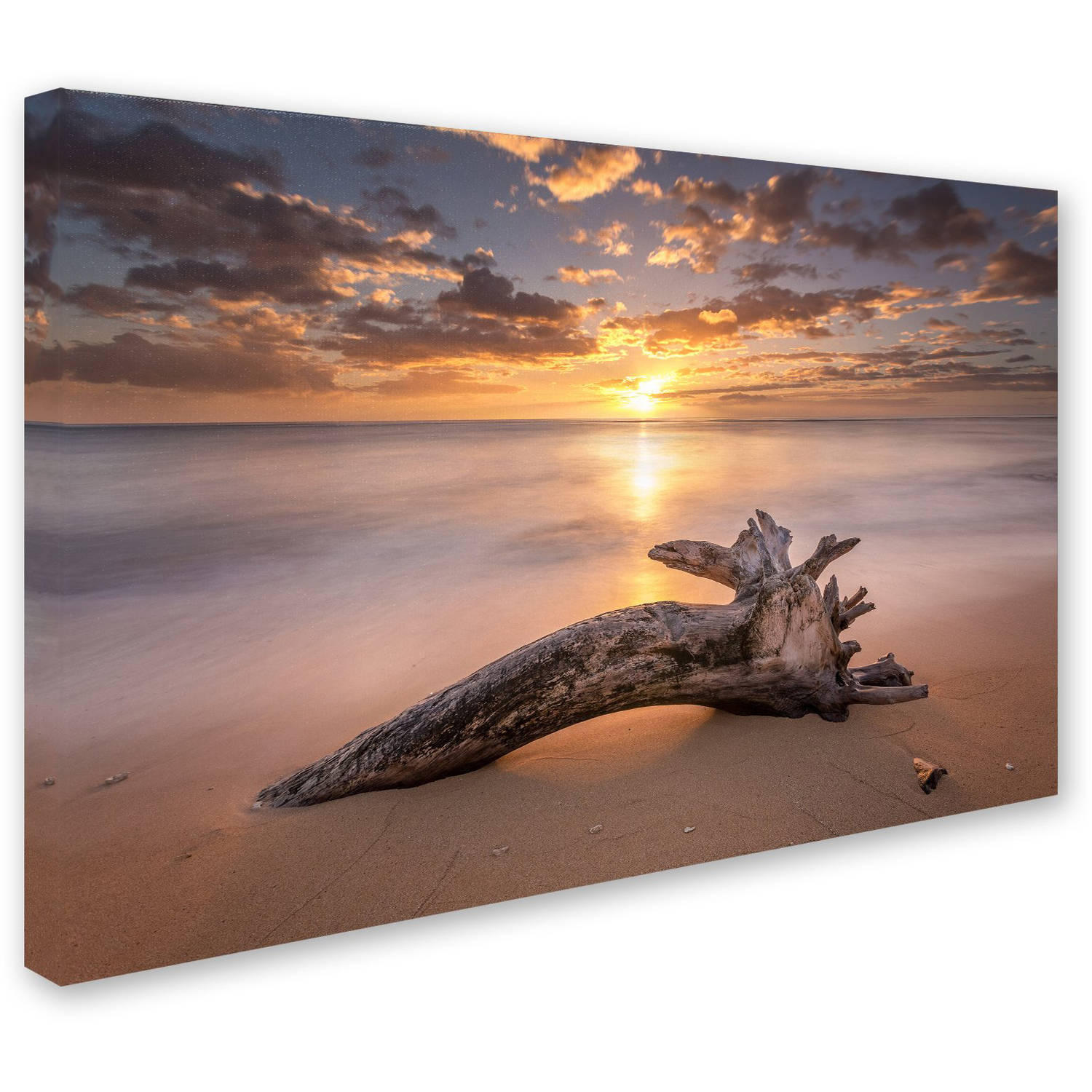 Trademark Fine Art 'Beach Tree Sunrise' Canvas Art by Pierre Leclerc