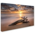 thumbnail image 2 of Trademark Fine Art 'Beach Tree Sunrise' Canvas Art by Pierre Leclerc, 2 of 3