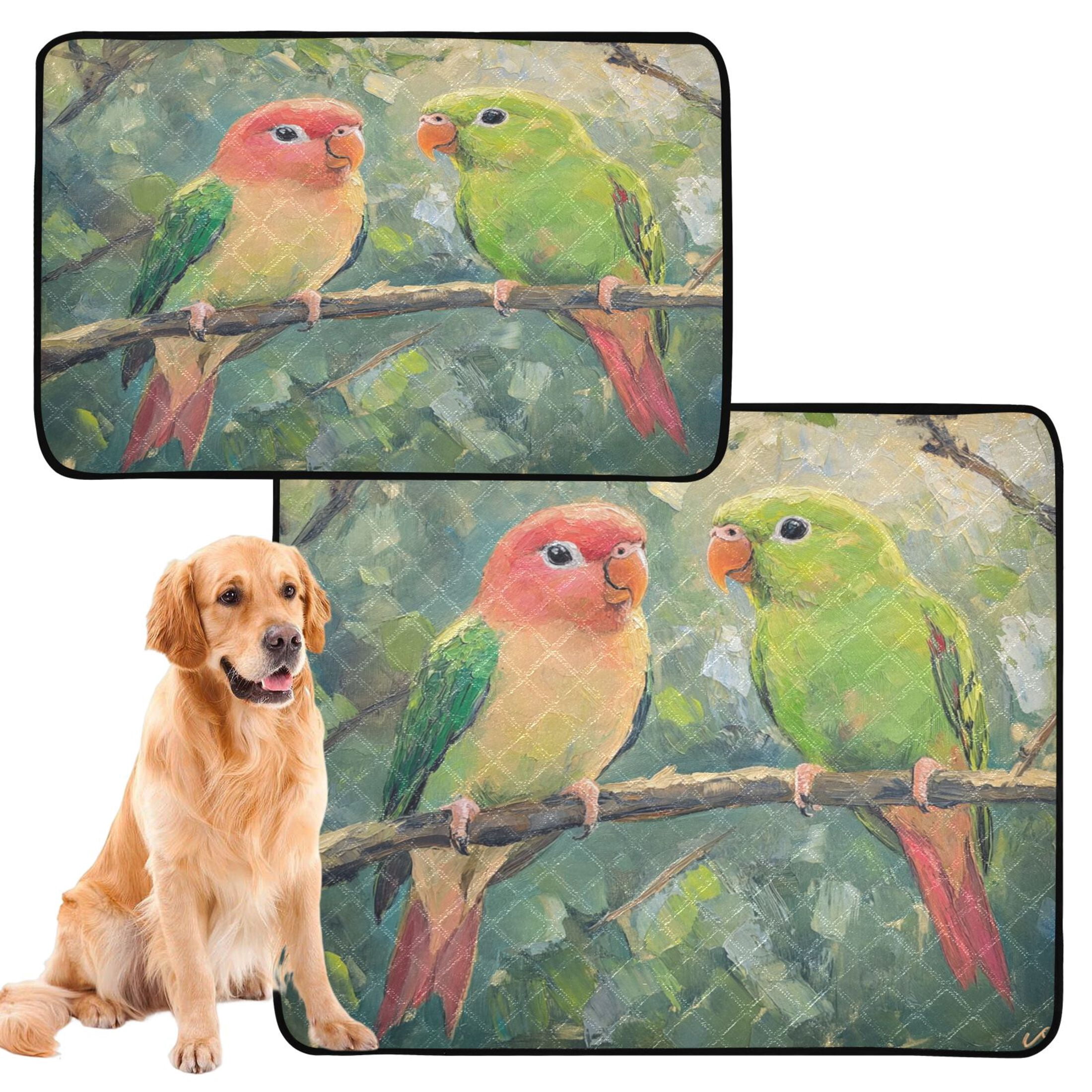 Qxltty Two Playful Parrots Cat litter Pads Pet Set of 3 Diaper Mats Center Anti-leakage Layer Absorbent Soft and Comfortable