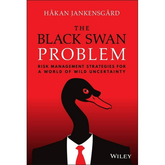 Wiley Corporate F&a: The Black Swan Problem (Hardcover)