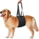thumbnail image 1 of Dog Hind Leg Support Harness, Pet Sling Carrier, Dog Walking Aid, Dog Support Belt, Dog Pull Vest, Black, Size M (Medium), 1 of 5