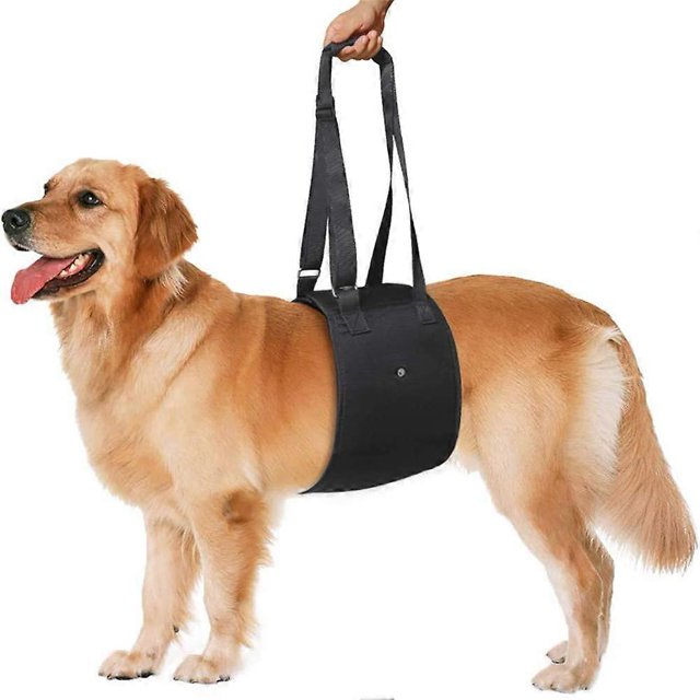 Dog Hind Leg Support Harness, Pet Sling Carrier, Dog Walking Aid, Dog Support Belt, Dog Pull Vest, Black, Size M (Medium)