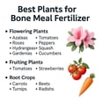 thumbnail image 3 of ⭐ 𝐁𝐄𝐒𝐓𝐒𝐄𝐋𝐋𝐄𝐑 Organic Bone Meal Fertilizer by Gardenera Labs (4-12-0 NPK) All-Natural Plant Food Source of Nitrogen and Phosphorus for Bulbs, Gardens, Potted Plants, Trees, and Shrubs - 2 QUARTS, 3 of 8