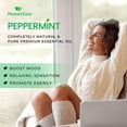 thumbnail image 6 of 3-Pack Peppermint Roll-On Essential Oil for Headaches, Migraine and Nausea, 6 of 7