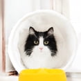thumbnail image 4 of Bol d'Alimentation pour Chat à Double Conception, Récipient de Nourriture pour Animaux, Bol Pratique pour Chien, Bol Antidérapant pour Nourriture de Chien, 4 of 8