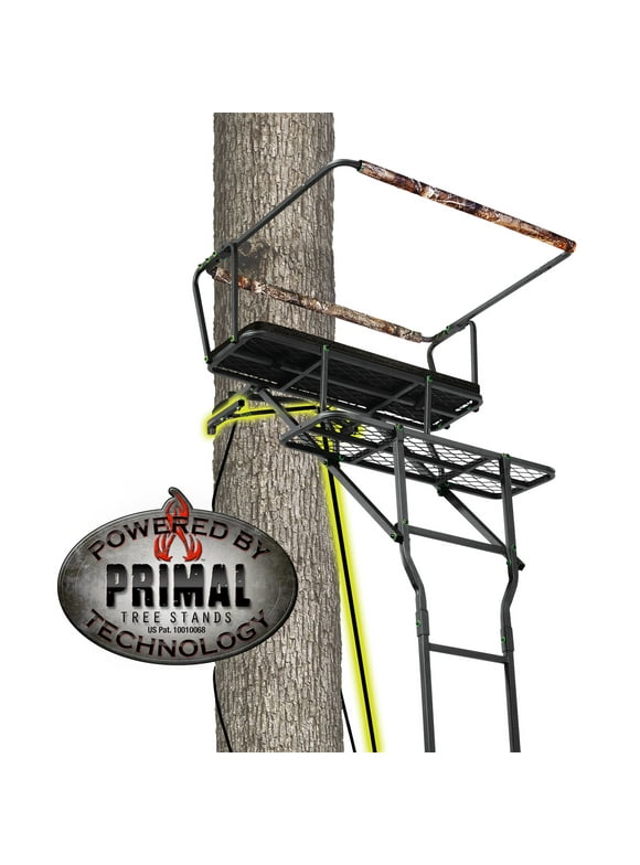 Two Man Ladder Stands in Tree Stands
