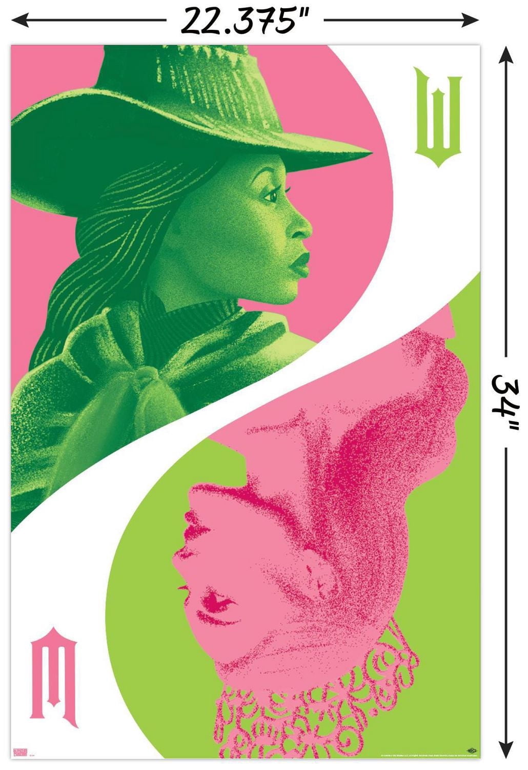 Wicked - Reflection Wall Poster with Push Pins, 22.375" x 34"