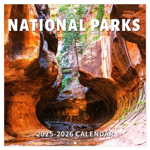 Calendario de pared Chambom 2025-2026, 18 meses, 30 x 60 cm, con días festivos