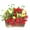 D, variant on D 1/12 Dollhouse Miniature Resin Flower Pot Red Plant For Diy Home Decor Kids Pretend Toy