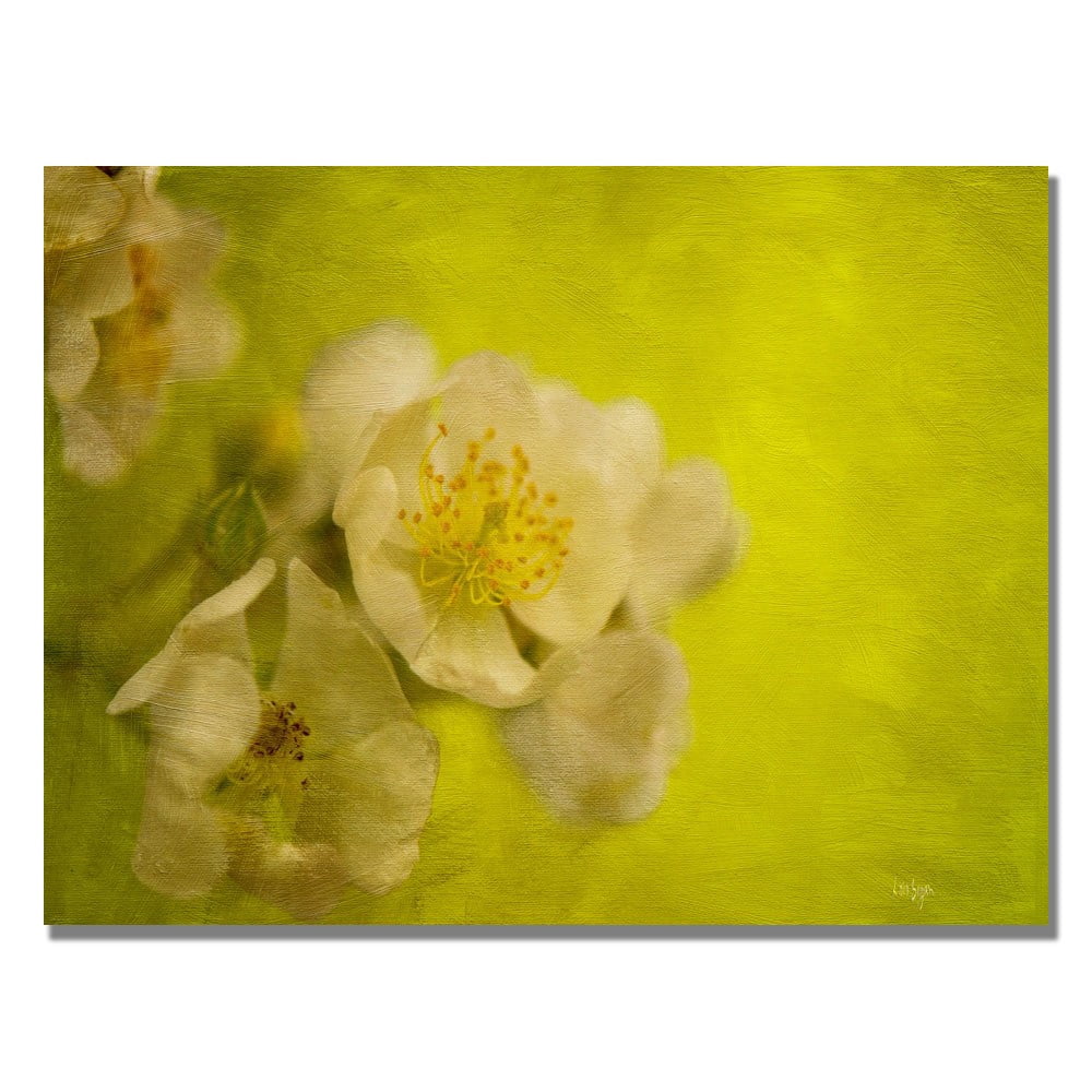 Trademark Fine Art "Sunrise II" Canvas Wall Art by Lois Bryan