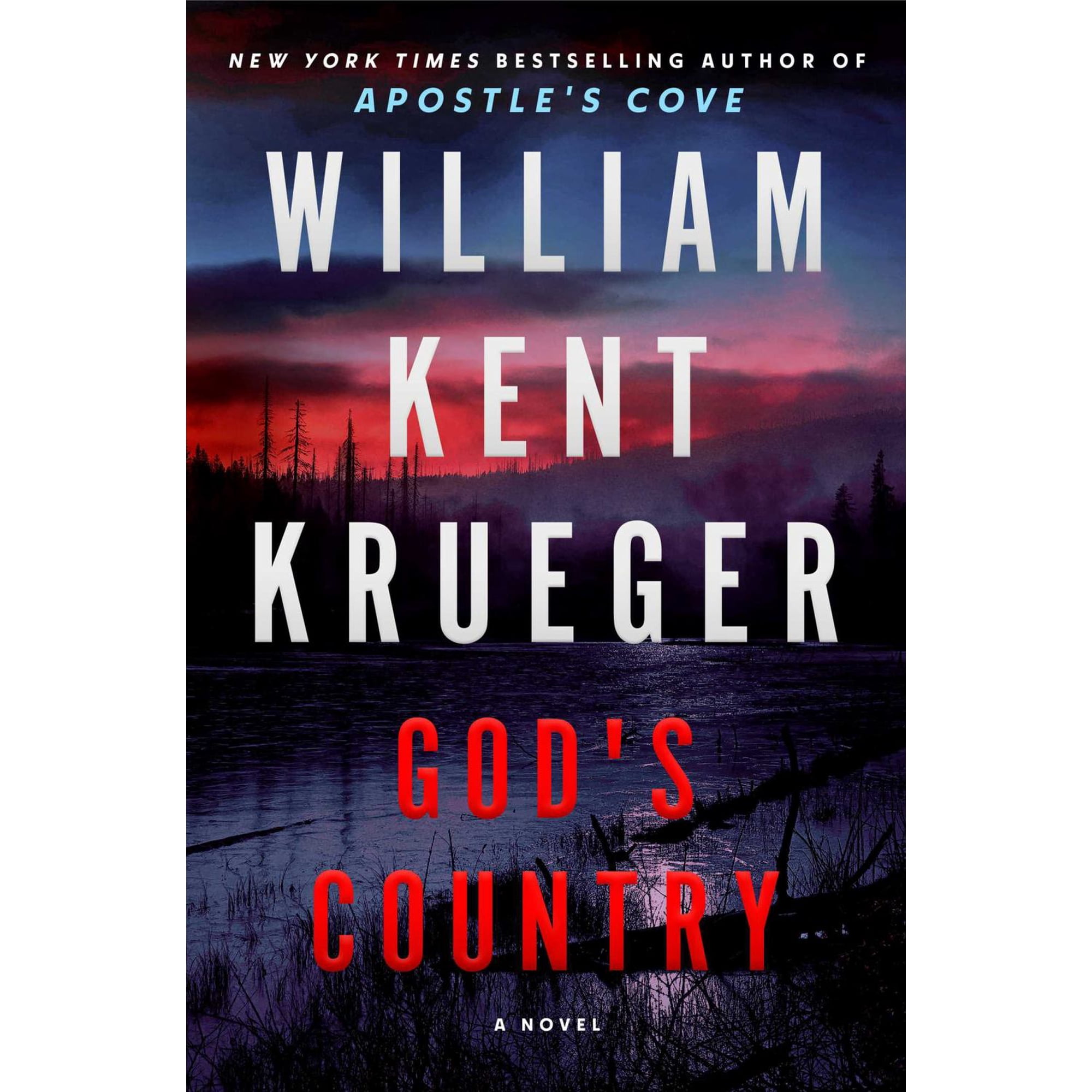 God's Country: A Novel (Hardcover)