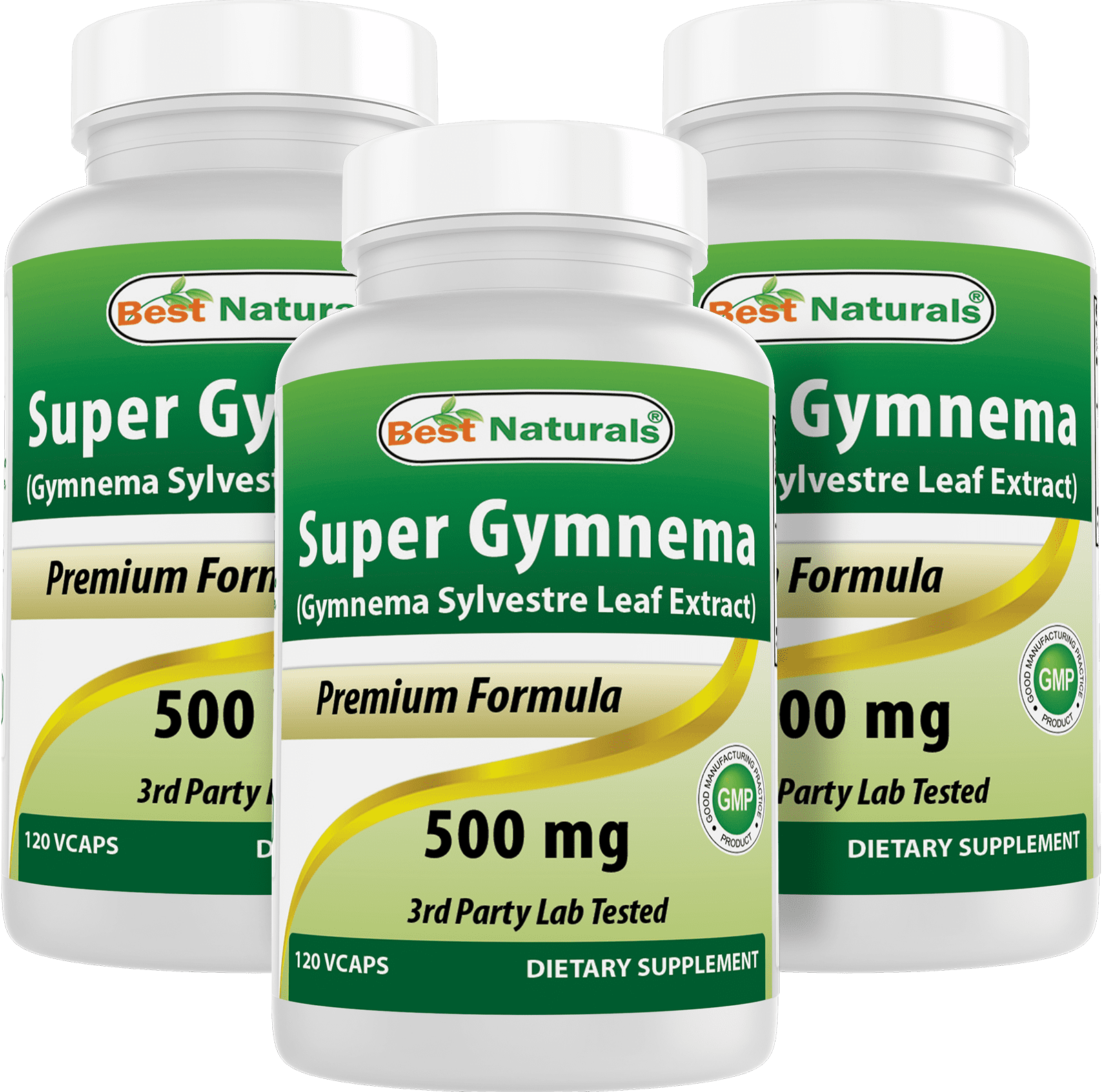 3 Pack Best Naturals Gymnema Sylvestre Leaf Extract 500 mg 120 Vegetarian Capsules