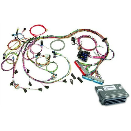 Painless Performance Products 60713 EFI Wiring Harness ... ls1 wiring harness painless 
