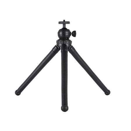 https://i5.walmartimages.com/asr/8f72cedd-a928-48dc-a1c2-0e53f11514b4.c60facefab78f9dec5f159bd86ba34d6.jpeg?odnHeight=450&odnWidth=450&odnBg=ffffff