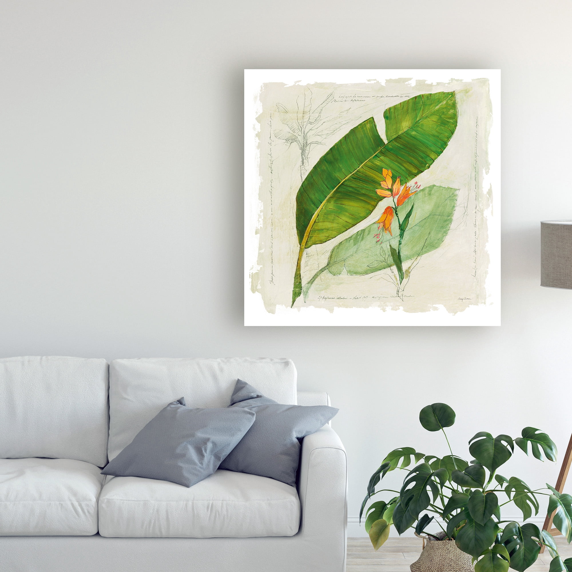 Trademark Fine Art 'Botanical Study I Light' Canvas Art by Avery Tillmon