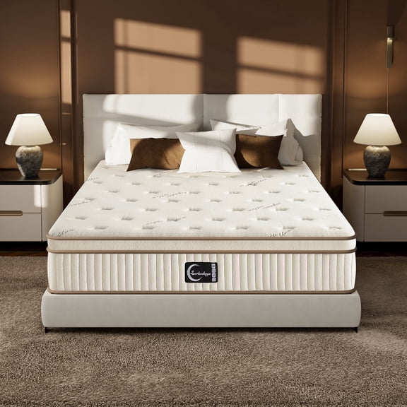 Surlunkeys 14 inch Queen Size Mattress in a Box with Pocket Springs, Euro Top Comfort & Pain Relief Medium Firm Hybrid Mattress