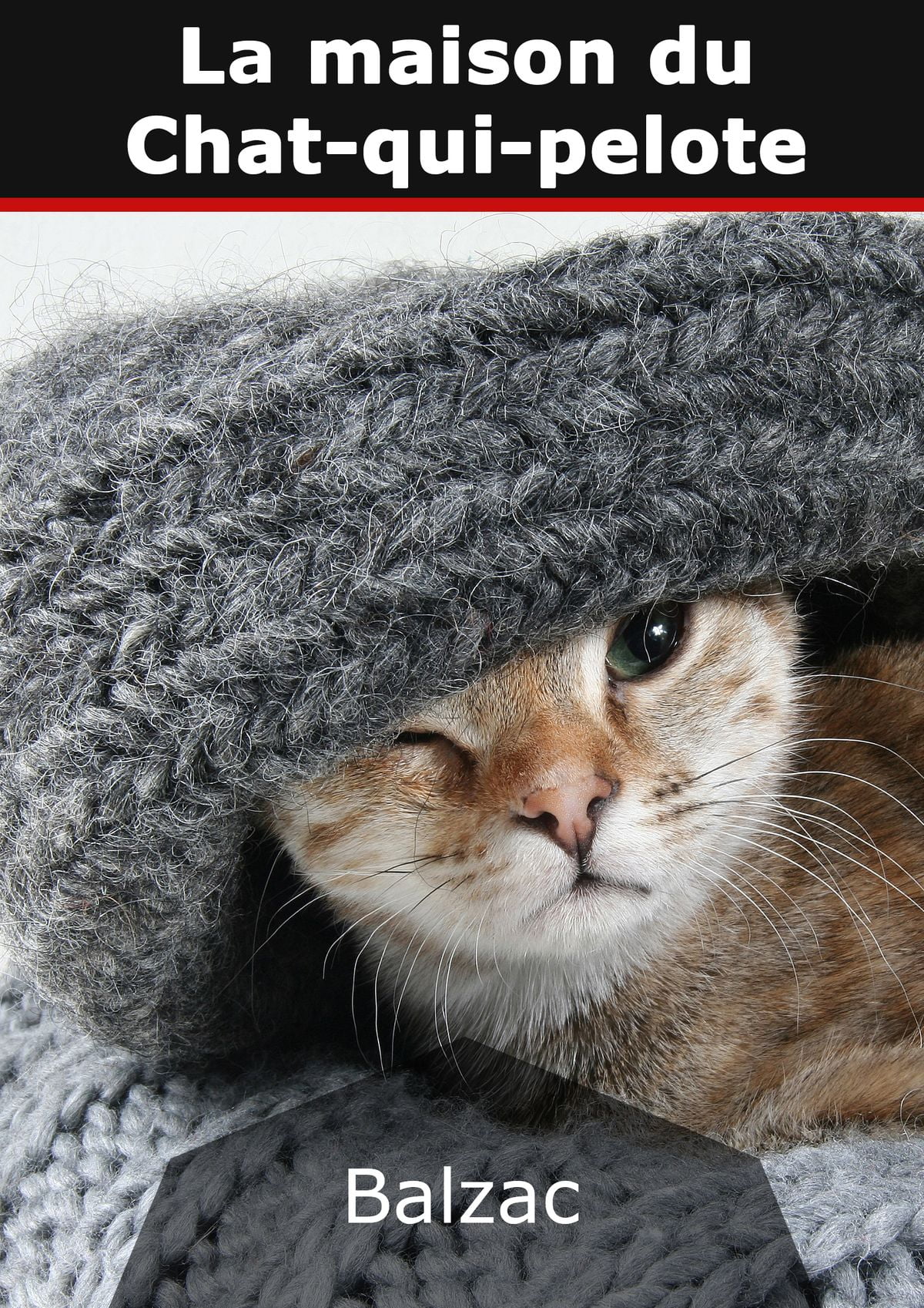 La Maison Du Chat Qui Pelote Ebook Walmart Com Walmart Com La Maison Du Chat Qui Pelote Ebook Walmart Com Walmart Com