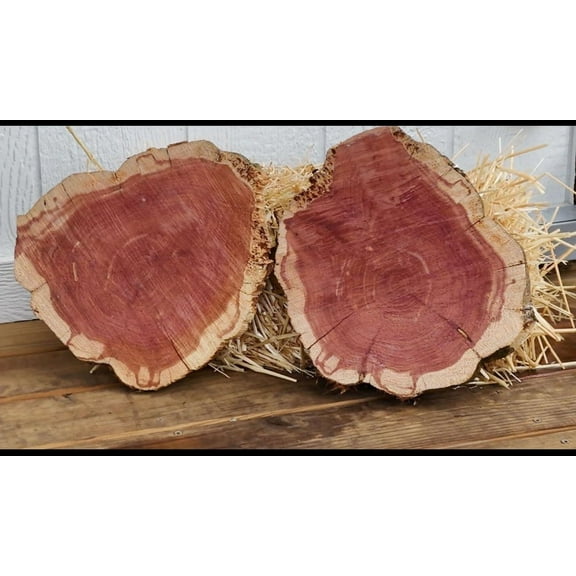 Cedar Rounds 12-13 inch