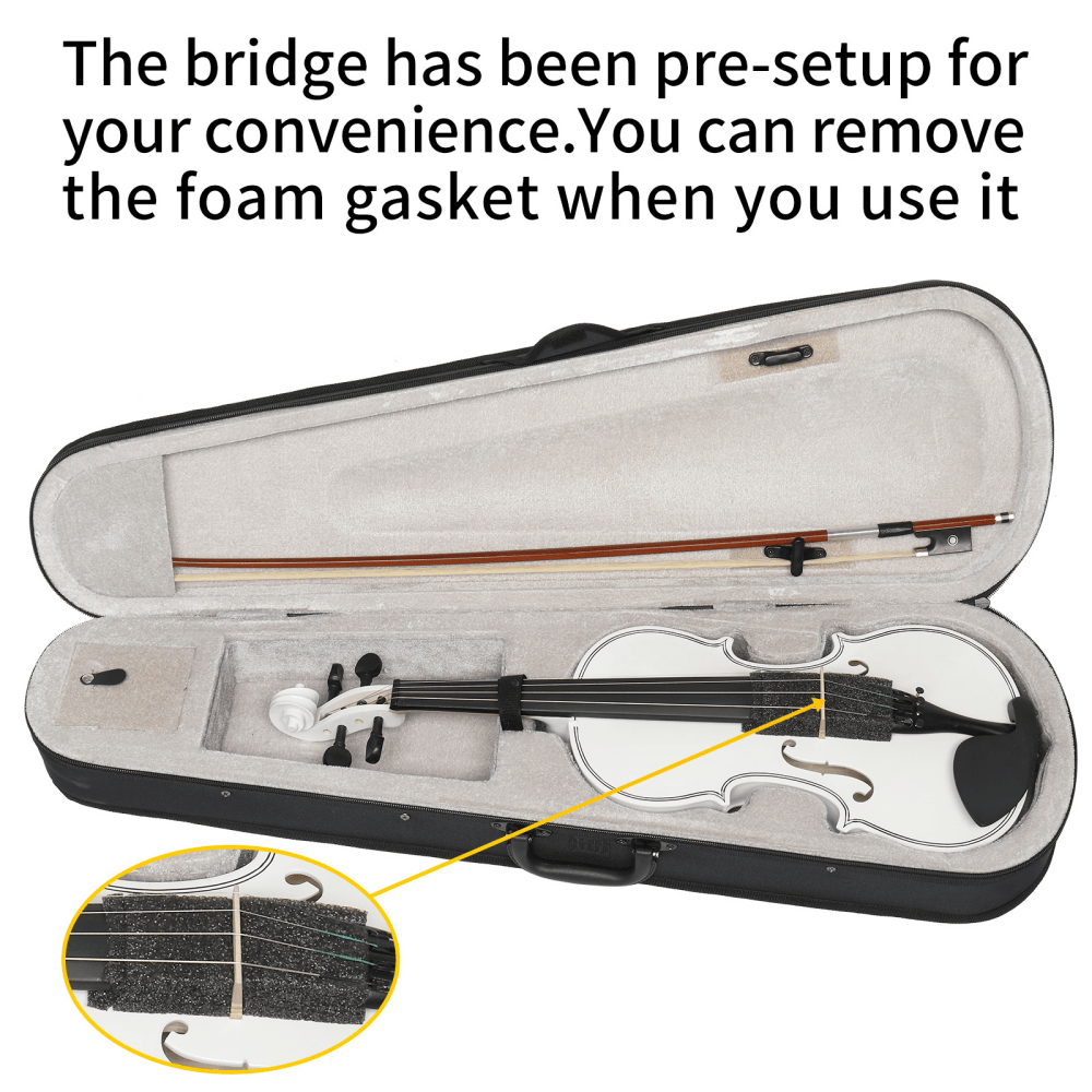 Tcbosik 4/4 Full Size Violin with Sordine, Hard Case and Other Accessories Included, Fiddle Beginner Starter Kit, White