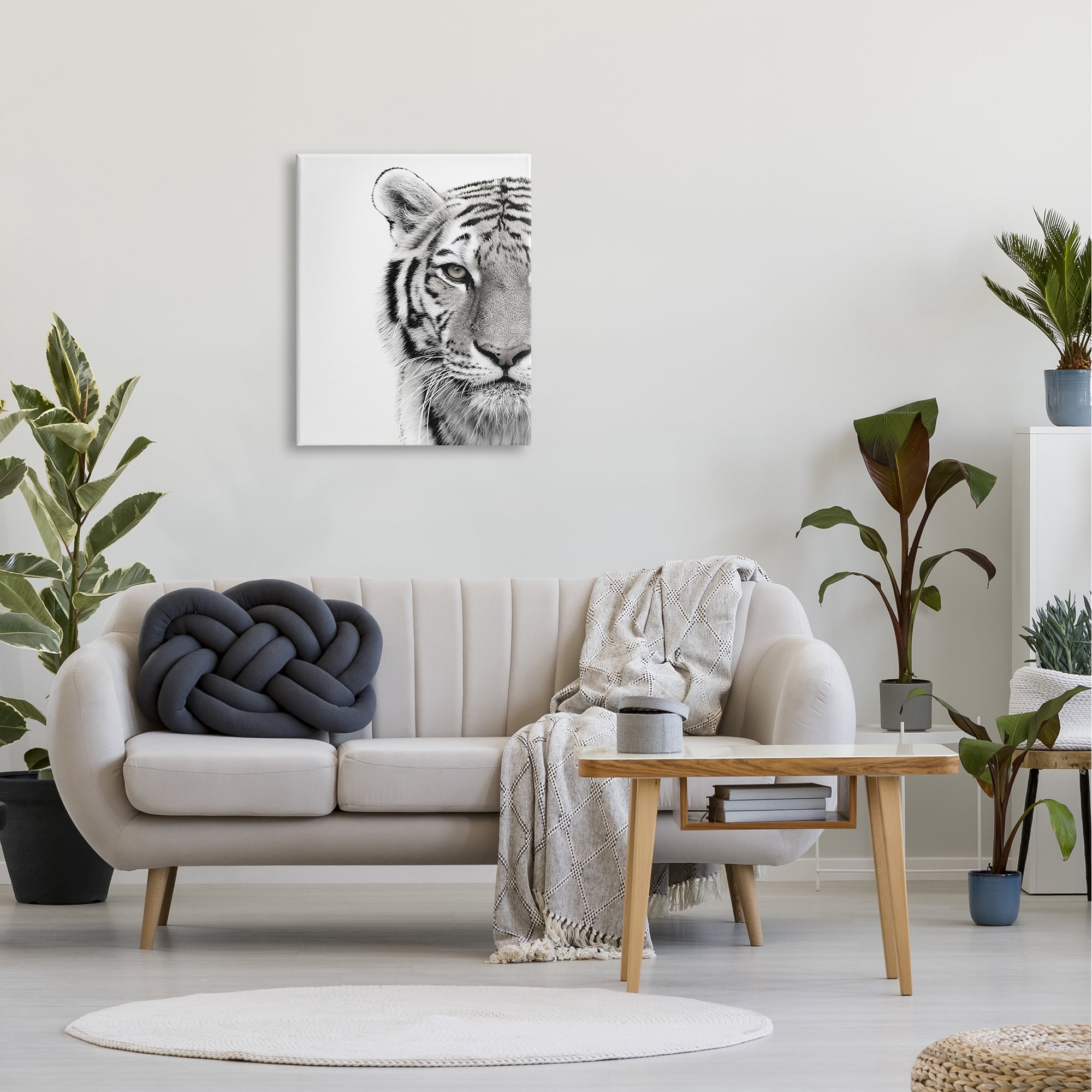 The Stupell Home Decor Collection White Tiger Close Up Black and White Photography Canvas Wall Art
