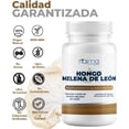 thumbnail image 4 of Hongo Melena De León 500mg 2 Frascos 100 Cápsulas C/u Sin Sabor, 4 of 6