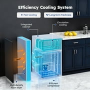 Simzlife 3.2 Cu ft Mini Refrigerator with Freezer, Two Door Compact Small Fridge Adjustable Removable Shelves, Sliver