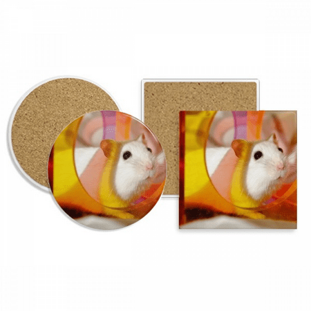 

White Rat Animal Pet Game Toys Coaster Cup Mug Holder Absorbent Stone Cork Base Set