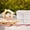 White, variant on JMYHOAM Storage Gadget Outdoor Picnic Basket Supermarket Shopping Basket Spring Outing Vegetable Basket Portable Carry Basket Vegetable and Fruit Basket Folding Storage Basket Home and Storage