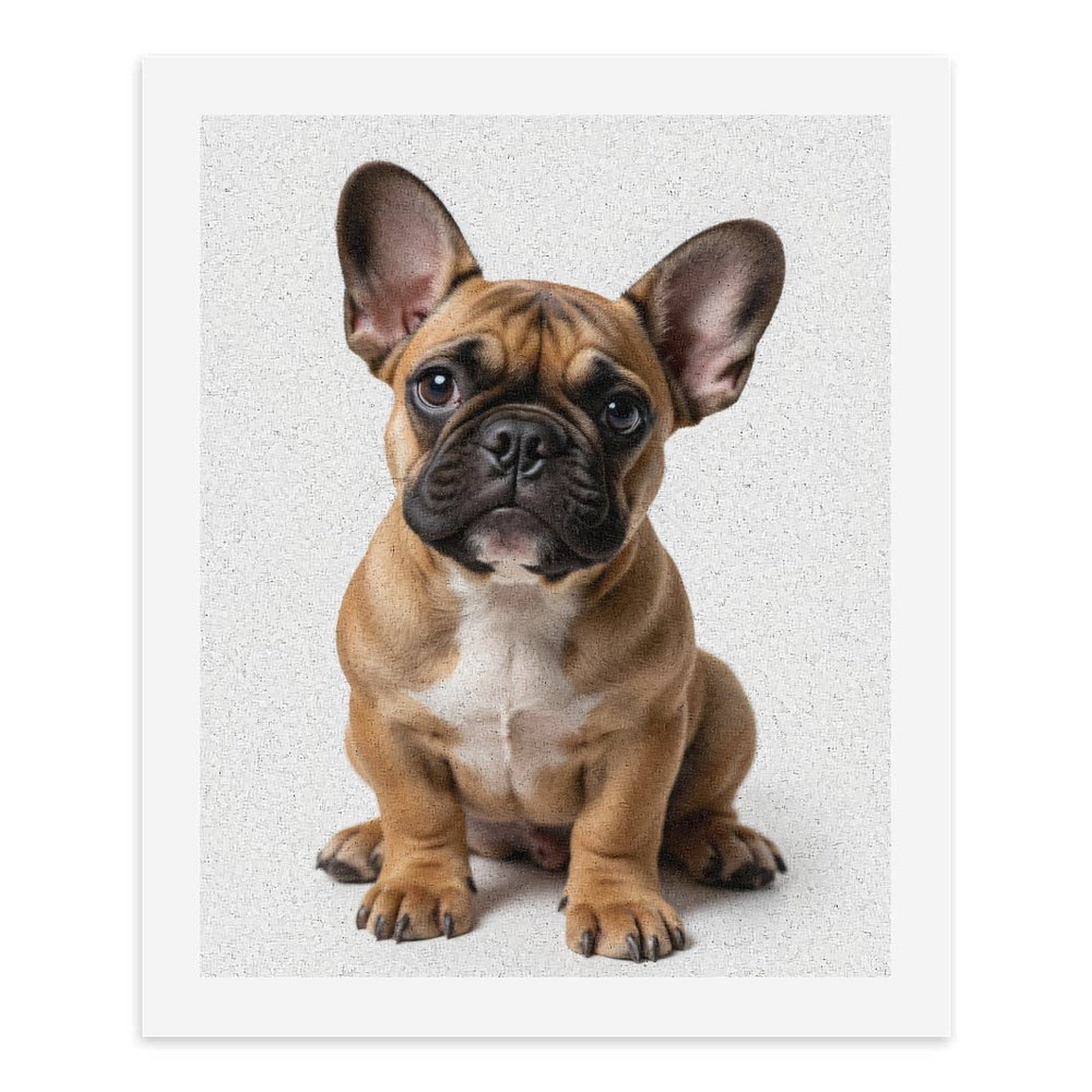 Paint By Numbers Kit for Adults Beginner - DIY Brown French Bulldog Sitting Cute Canvas Painting Kits for Adults, Frameless Paint By Number for Adults for Home Wall Decor 16x20 Inch