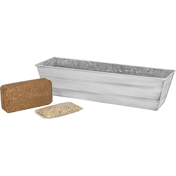 Bloom Box Garden Growing Kit Small Cape Cod White