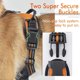 thumbnail image 4 of Arnés para perros, arnés para mascotas sin tirones con 2 clips para correa, chaleco acolchado suave ajustable para perros, chaleco reflectante Oxford para mascotas al aire libre, 4 of 5