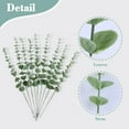 thumbnail image 2 of Remiawy 36 Pcs Eucalyptus Stems, 15inch Greenery Artificial Eucalyptus Leaves Faux Eucalyptus Stems Eucalyptus Branches Flowers for Home Office Farmhouse Wedding Centerpiece Vase Filler Decor, 2 of 7