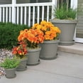 thumbnail image 3 of Bloem TR0883 Terra Plastic Pot Planter 8" Pebble Stone, 8", 3 of 5
