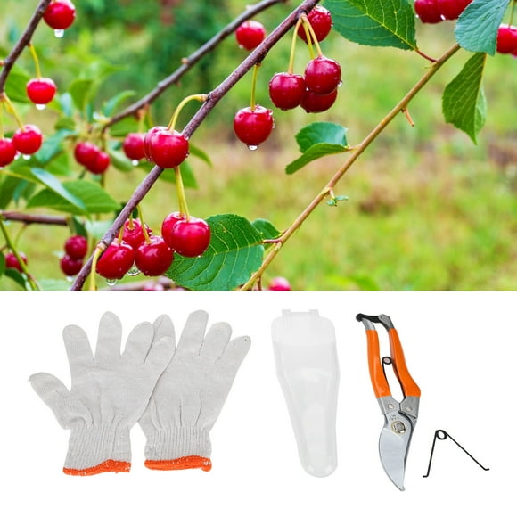 Pruning Shears Heavy Duty, Pruning Scissors Pruning Shears Garden Clippers for lawn and Garden for Shrubs Fruit Trees