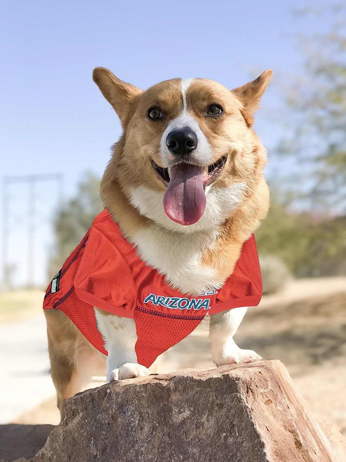 Pets First Collegiate Arizona Wildcats Football/Basketball Mesh Jersey for Pet Dog. available in 40+ Teams - Large