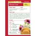 thumbnail image 4 of Traditional Medicinals Throat Coat Lemon Echinacea Seasonal Tea Organic, 16 CT (Pack of 3), 4 of 6