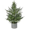 thumbnail image 1 of 36" Potted Real Touch Norfolk Pine Tree Decoration, 1 of 1